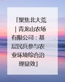 聚焦北大荒｜青龙山农场有限公司：基层民兵参与农业环境综合治理显效